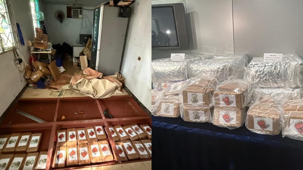 警連破兩毒品案拘3男 青衣傢俬混入大麻花 元朗鐵皮屋地板暗藏可卡因