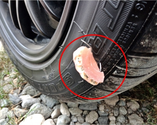 堅硬的假牙刺穿了車胎。網圖