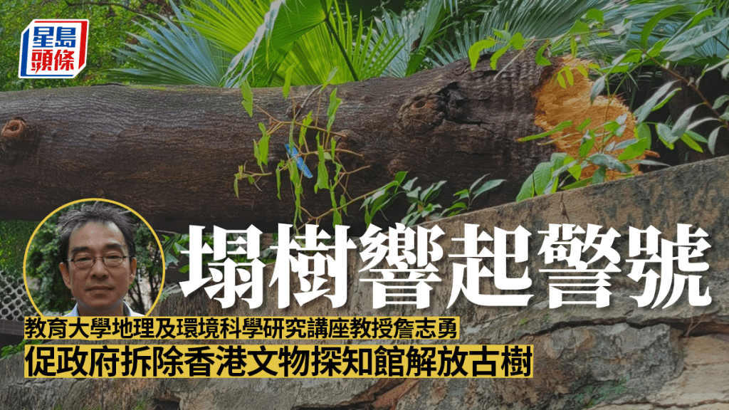詹志勇希望政府拆毀文物探知館,解放一列樹木。資料圖片