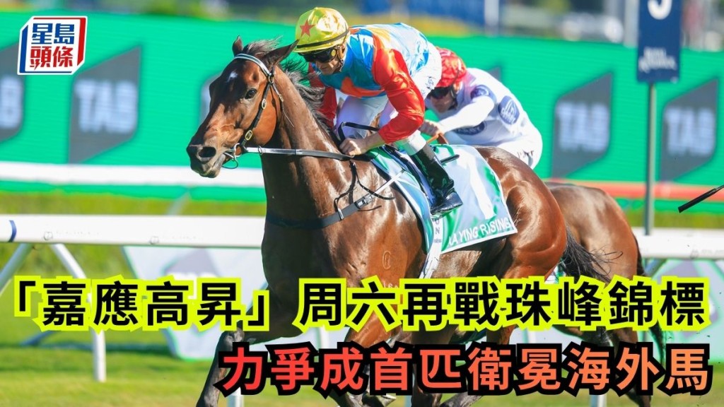 「嘉应高升」去年打破澳洲本土赛驹垄断，成为首匹赢得珠穆朗玛峰锦标的海外赛驹。香港赛马会提供