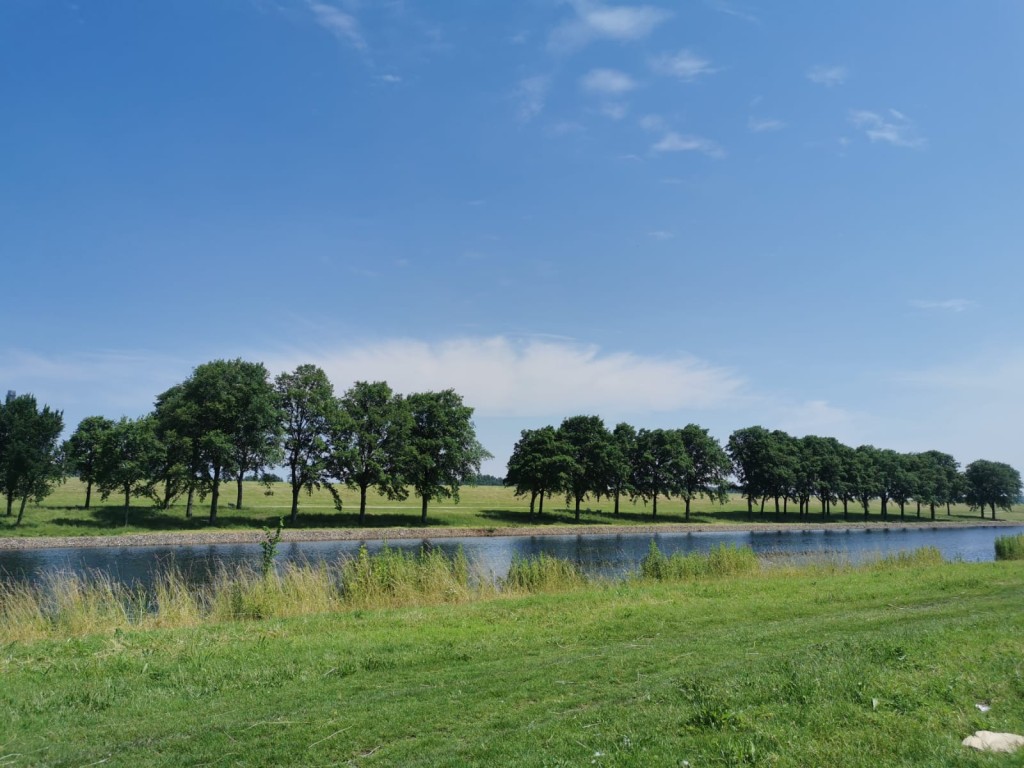 Naomi称鹿特丹与周边地区有不少环境优美的地方。 Naomi称鹿特丹与周边地区有不少环境优美的地方。