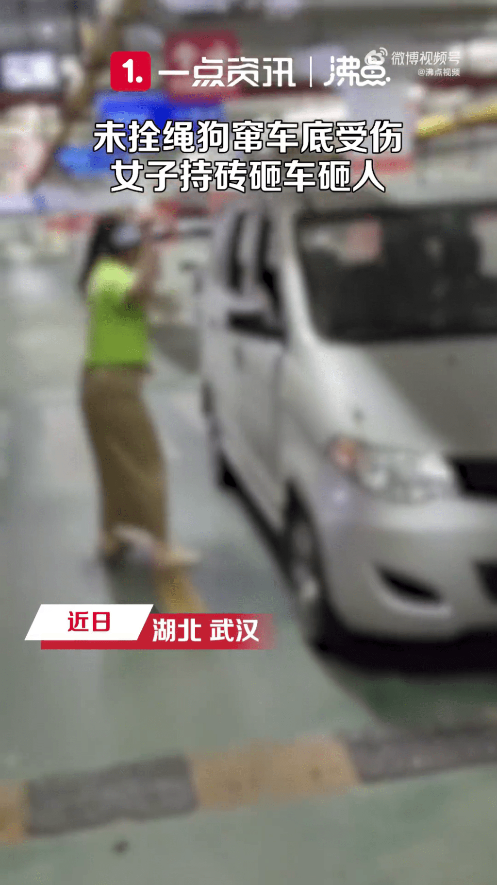 凶狠女狗主擸磚扑車。