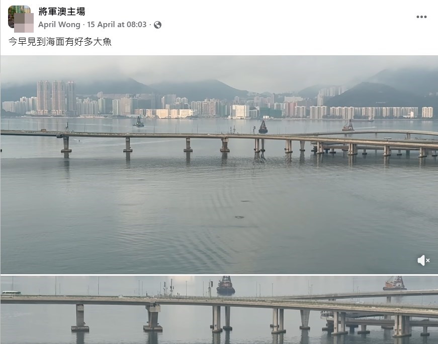facebook截圖（資料來源：April Wong＠facebook將軍澳主場）