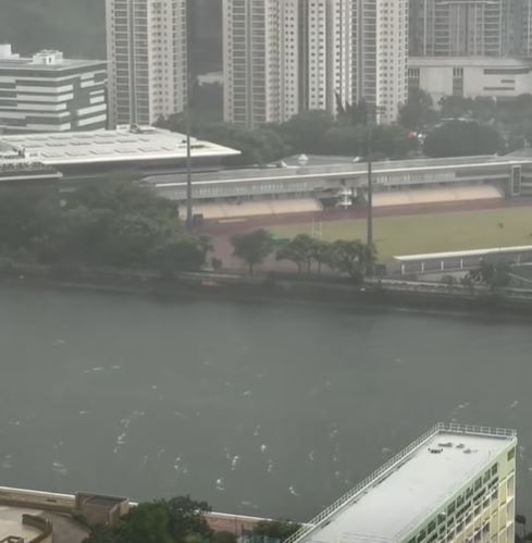 fb「新界地區生活連線」影片截圖