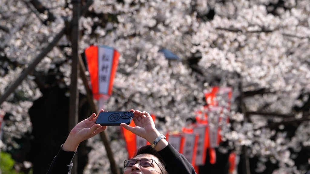 东京市中心樱花盛开,民众到上野公园赏花。 美联社 东京市中心樱花盛开,民众到上野公园赏花。 美联社
