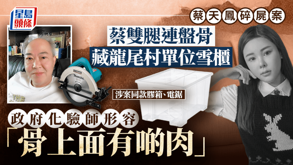 蔡天鳳碎屍案｜雙腿連盤骨被放在雪櫃內 政府化驗師形容「骨上面有啲肉」