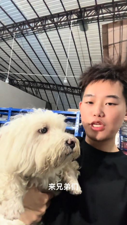 冧屋頂事故中，莊先生與愛犬成功逃生。抖音@三級聯名