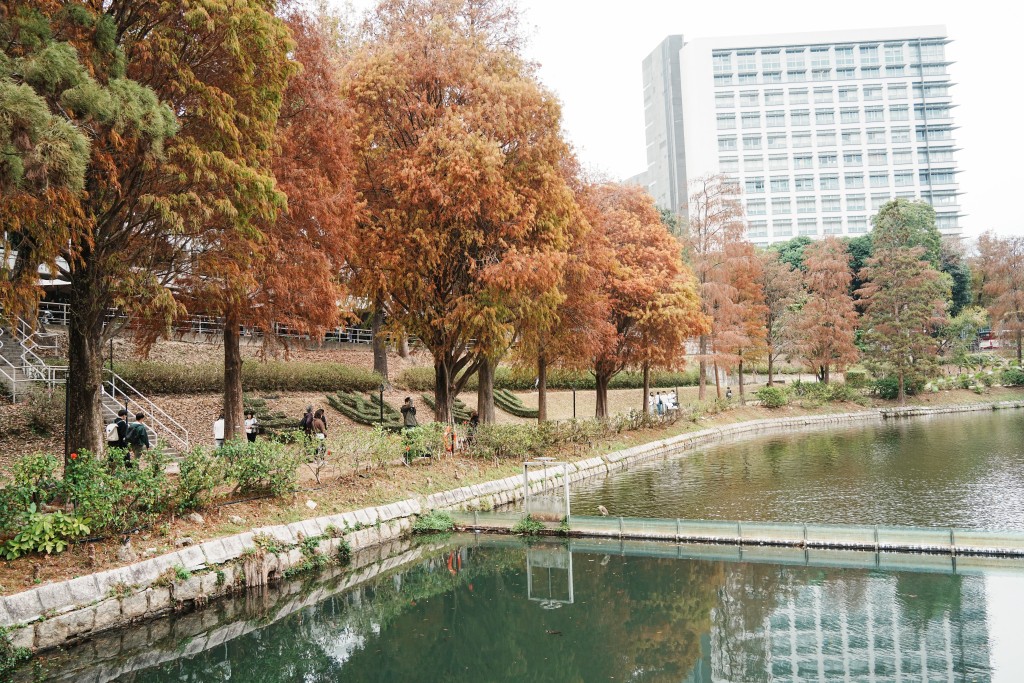 中大除了本地生,還有很多非本地生。汪旭峰攝 中大除了本地生,還有很多非本地生。汪旭峰攝