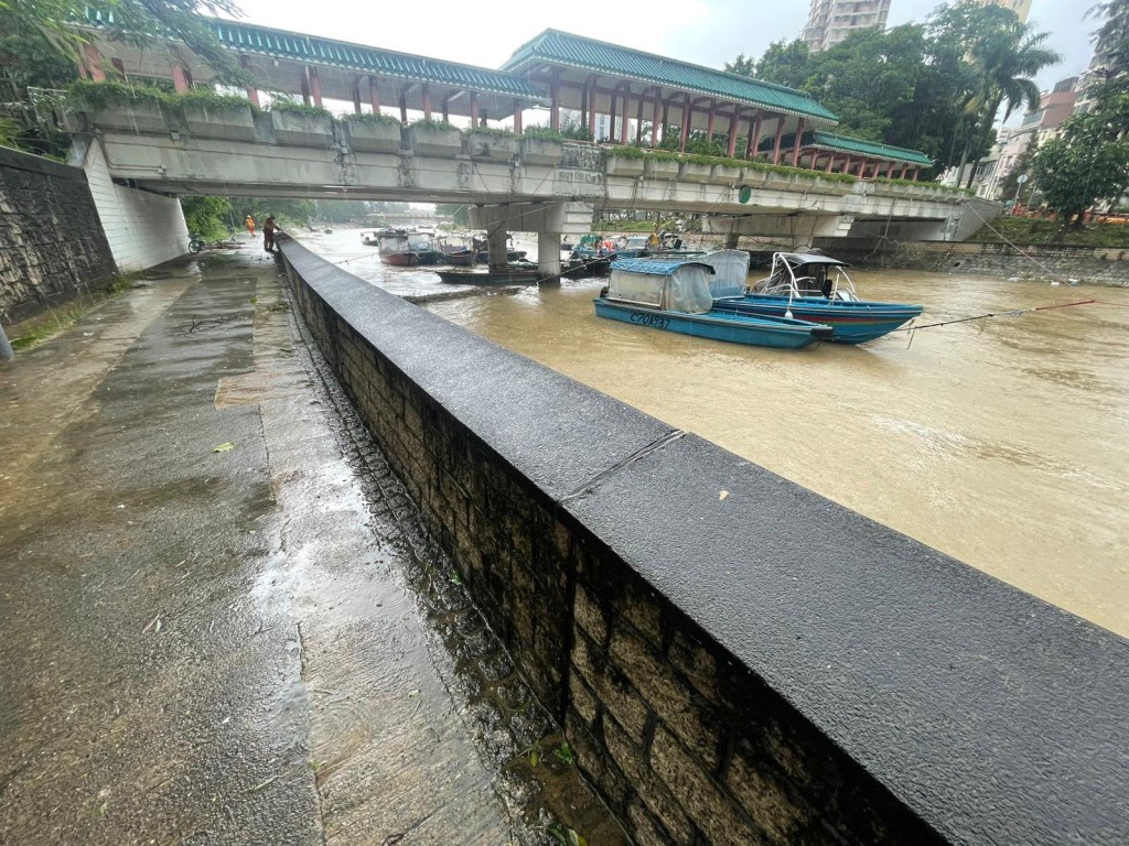 本港多區出現塌樹、水浸及山泥傾瀉的情況。FB「下水水」圖片