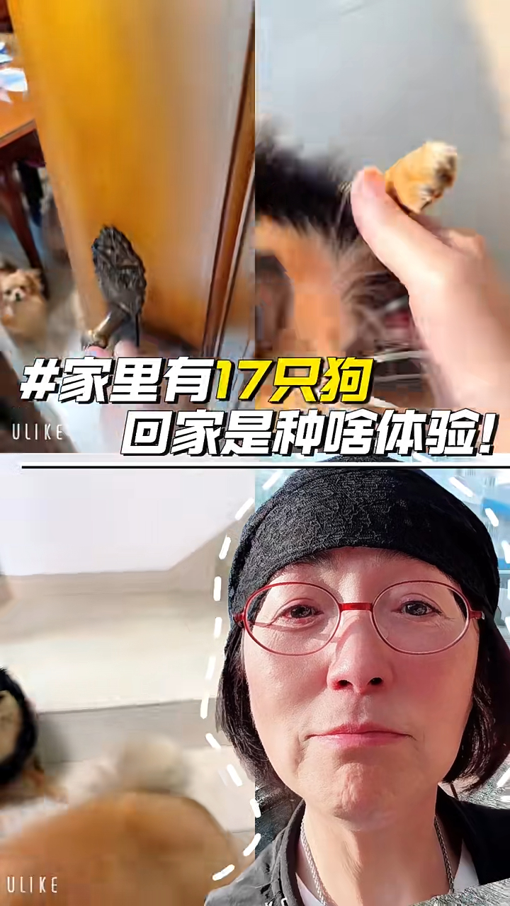 昨日（23日）苑琼丹就在小红书上发布了一条影片，透露家中养了17只狗狗，更曝光其住所内部环境。