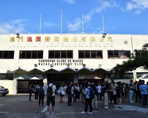 澳門民政總署暫管逸園賽狗場533隻格力犬至少10日。資料圖片