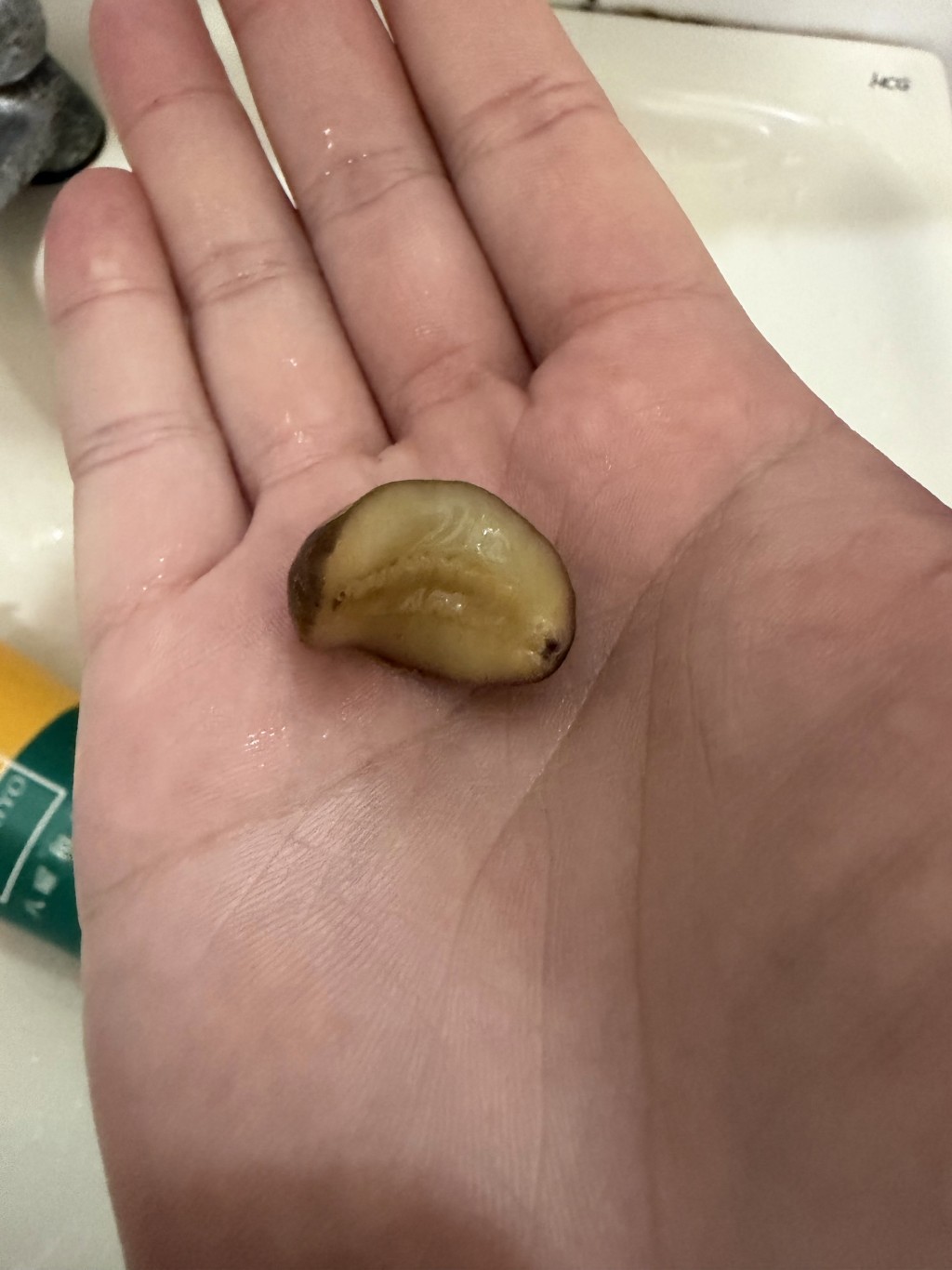细看之下却发现触感滑溜，随后该不明物体竟然蠕动起来、身体变长，甚至长出了两条触角。