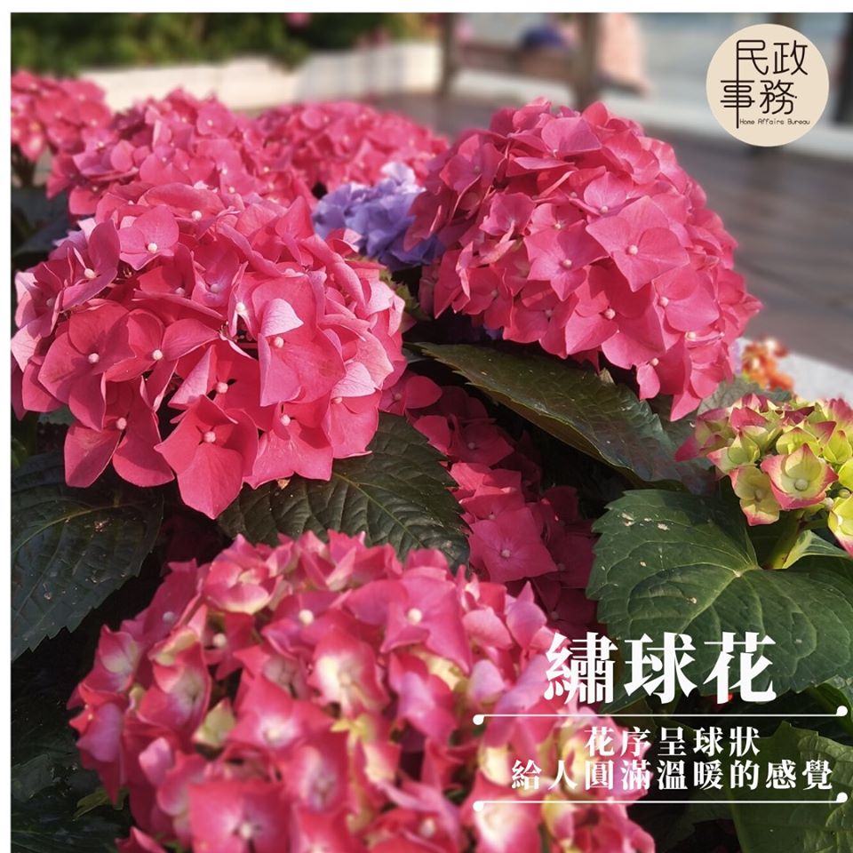 民政事務局FB