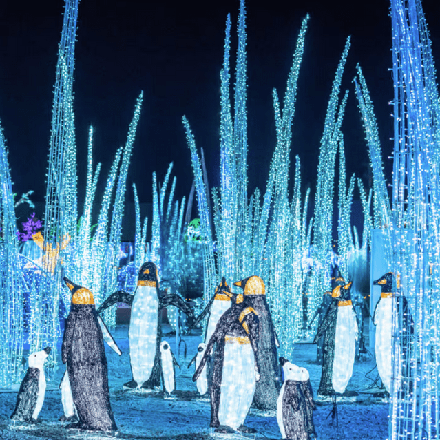 Festilumi光影幻想世界。Fever圖片 Festilumi光影幻想世界。Fever圖片