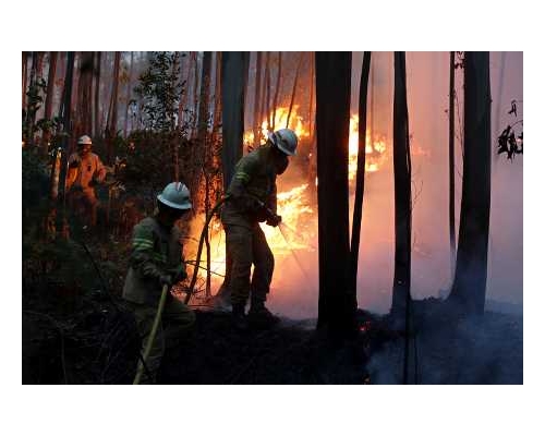 當地中部森林大火造成最少61人喪生。AP