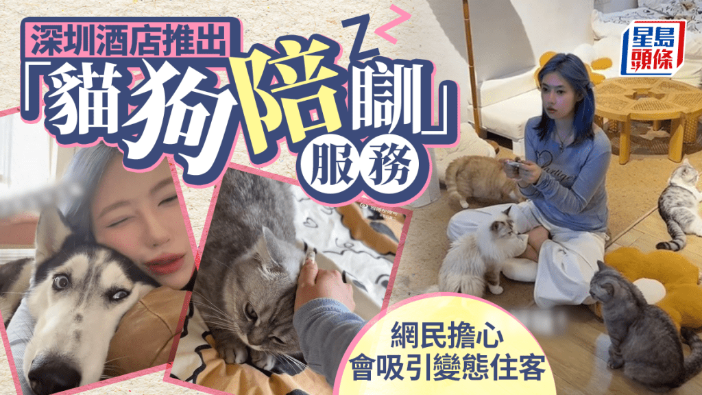 深圳酒店推貓狗陪睡 網友憂遇「變態」虐寵