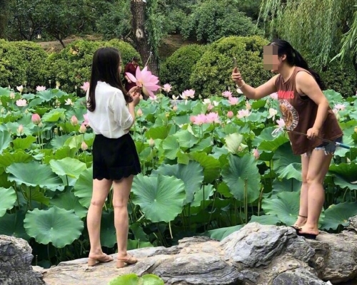 有內地網友爆料，部分遊客將荷花摘下拍照。網圖