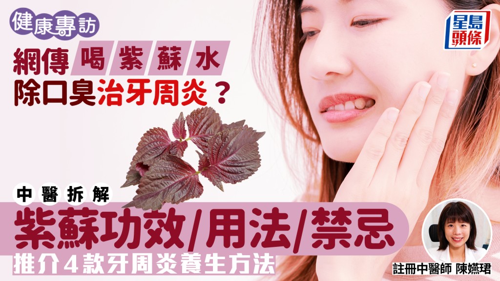 網傳喝紫蘇水除口臭治牙周炎？中醫解構紫蘇功效/用法/禁忌 推介4款內外兼治養生方法