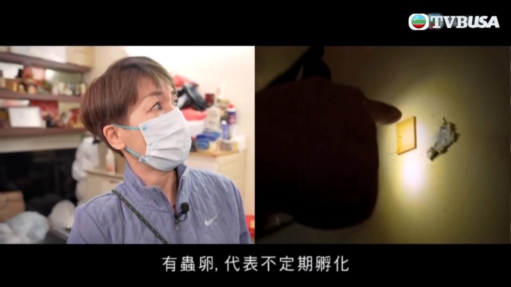 江美儀主持的TVB節目《一個好人》於2024年播出。 江美儀主持的TVB節目《一個好人》於2024年播出。