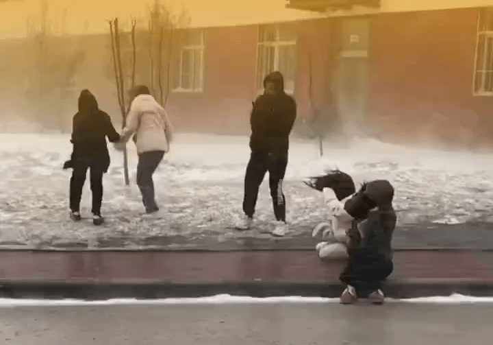 在哈尔滨，有学生冒暴风雪上学去。