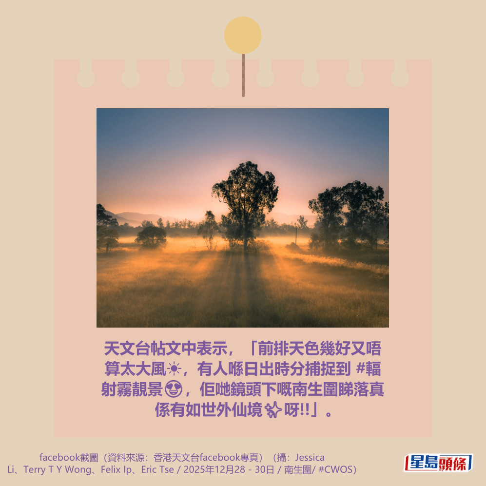 （摄：Terry T Y Wong / 2025年12月29日 / 南生围 / #CWOS）