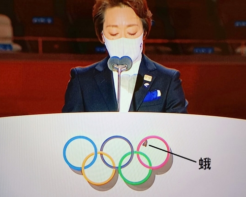 一隻飛蛾意外地闖入東奧閉幕式,引發全球民眾熱議。林超英FB圖片