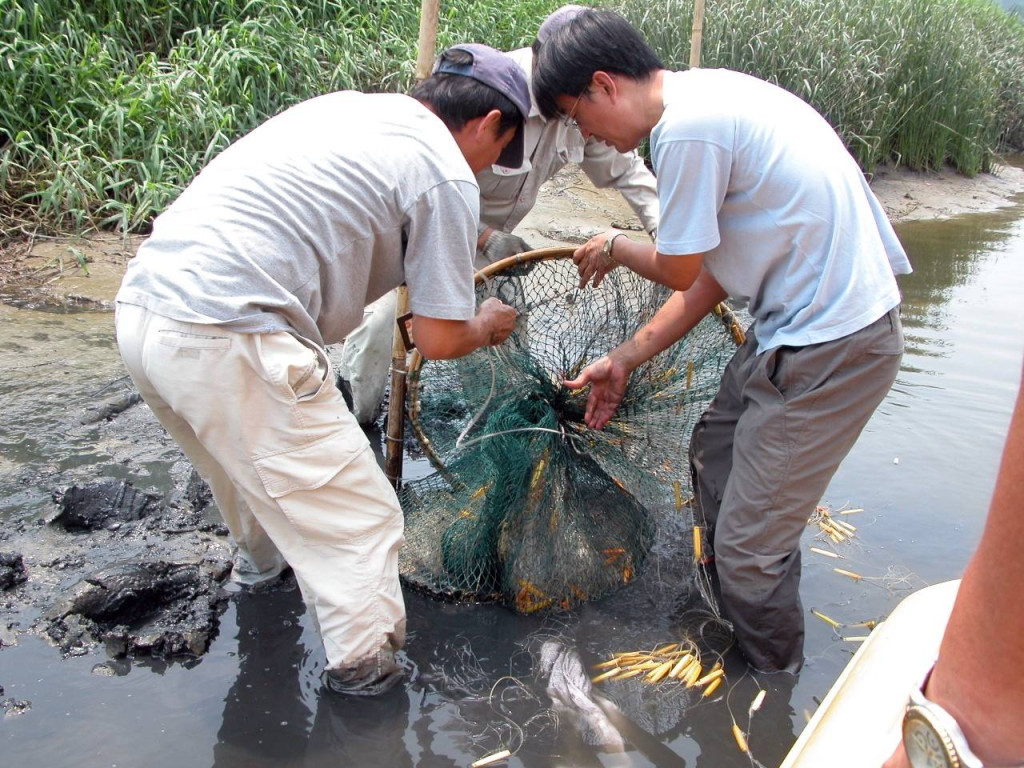 攝於2004年6月10日，漁護署生擒山貝河鱷魚。資料圖片