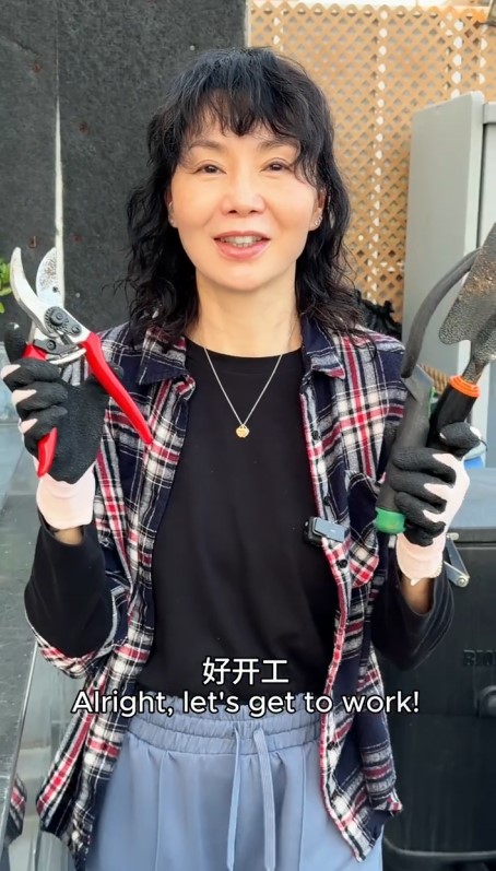 這個天台擺放了多個大型工具收納櫃。 這個天台擺放了多個大型工具收納櫃。