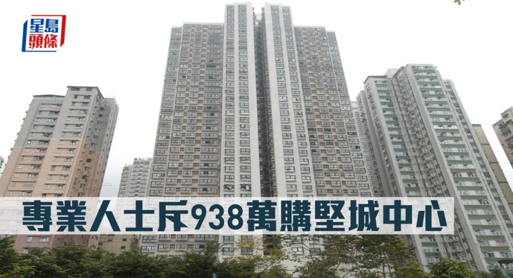 專業人士斥938萬購堅城中心。
