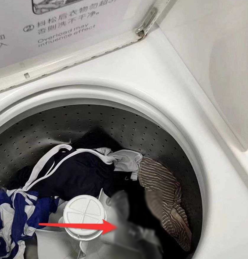 洗衣機內有一透明款「自慰棒」。