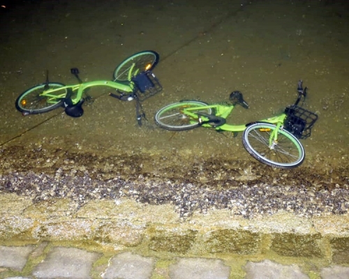 兩車擱於河邊淺水位置。