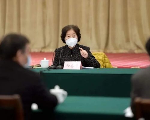 孫春蘭早前在新冠疫情重災區武漢召開會議。網圖
