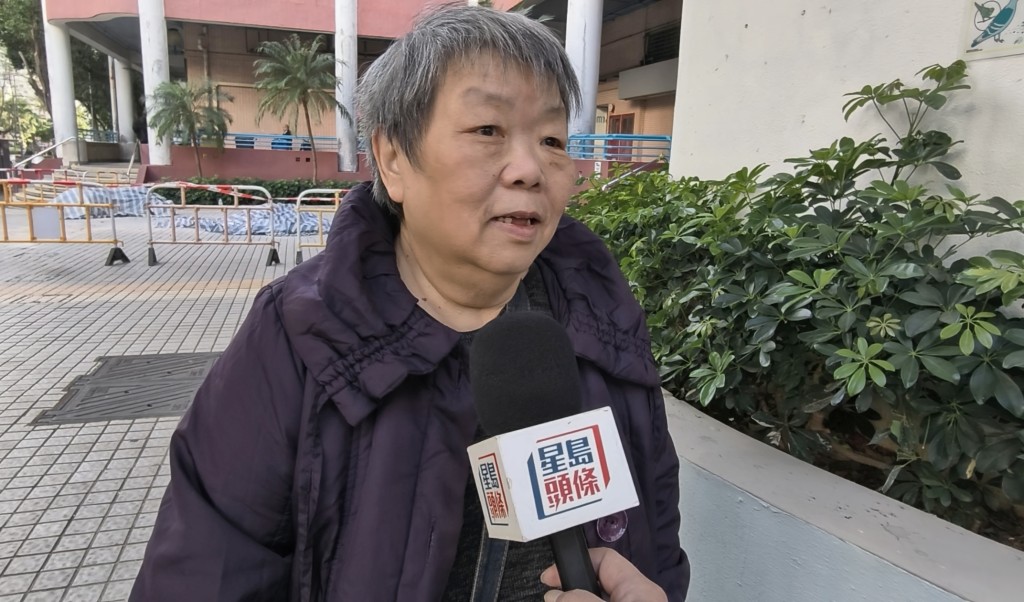 蔡婆婆表示，如業界及委員「圍內打龍通」，會擔心（維修工程）質素沒有保障。