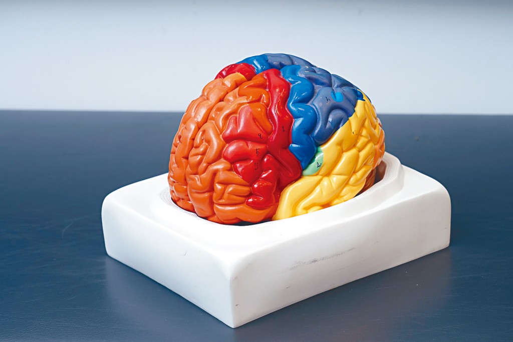 长新冠问题可大可小,严重时可涉及心脏及脑部健康。 长新冠问题可大可小,严重时可涉及心脏及脑部健康。