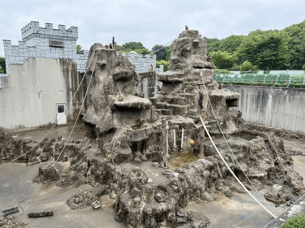 孤獨小猴「Panchi君」全球爆紅孤獨小猴「Panchi君」所在的日本千葉縣市川市動植物園「猴山」，近期遭到惡劣遊客以鐳射筆激光照射。ichikawa_zoo@X