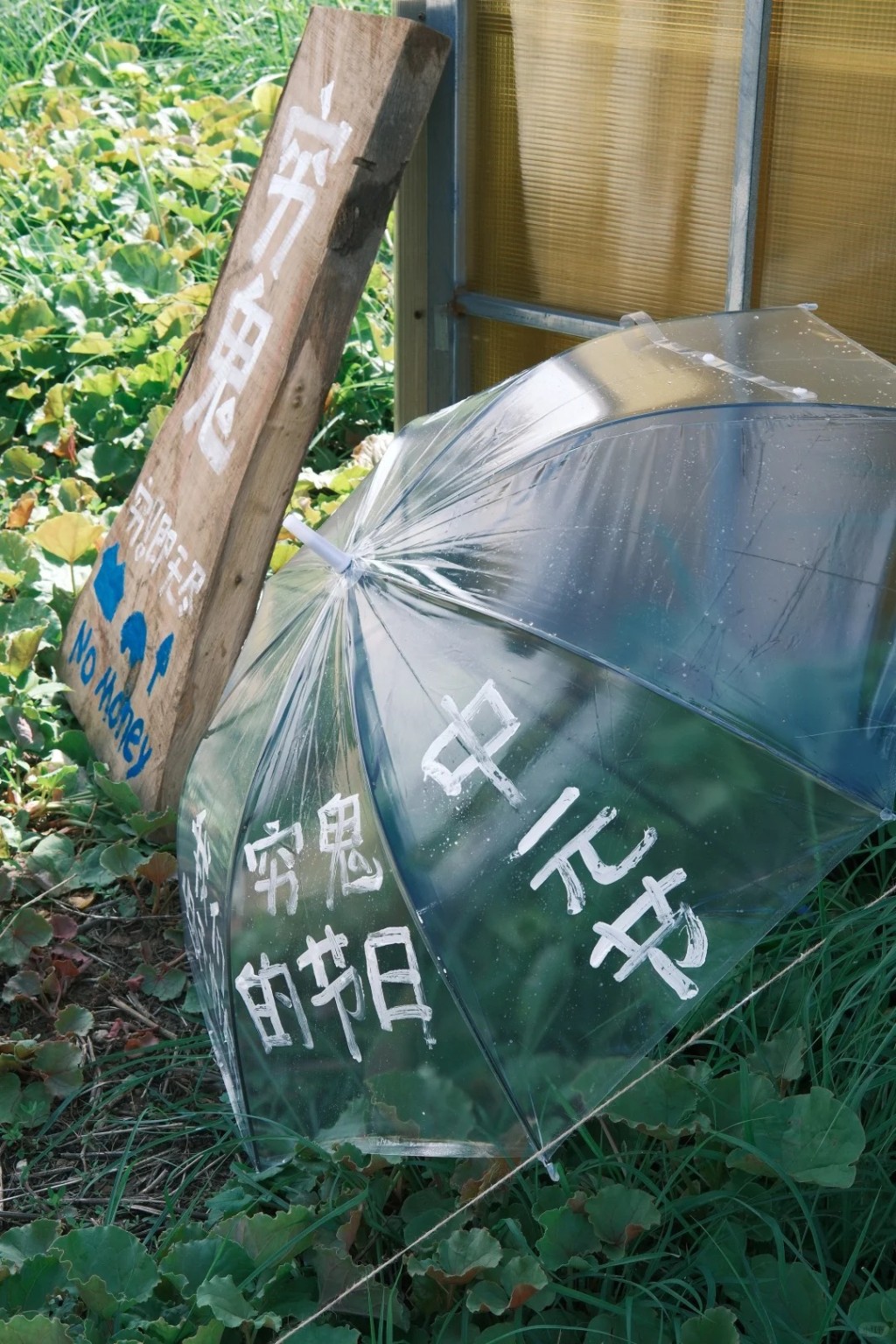 內地藝術家喬小刀為女兒建造的荒野之國，魔幻感滿滿。小紅書＠大三酉窩