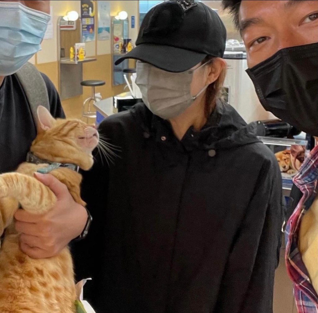 安仔顧着影相，Sammi反而顧着看貓。