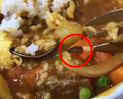 孕婦去網紅店就餐,飯裏竟吃出蟑螂。(網圖)