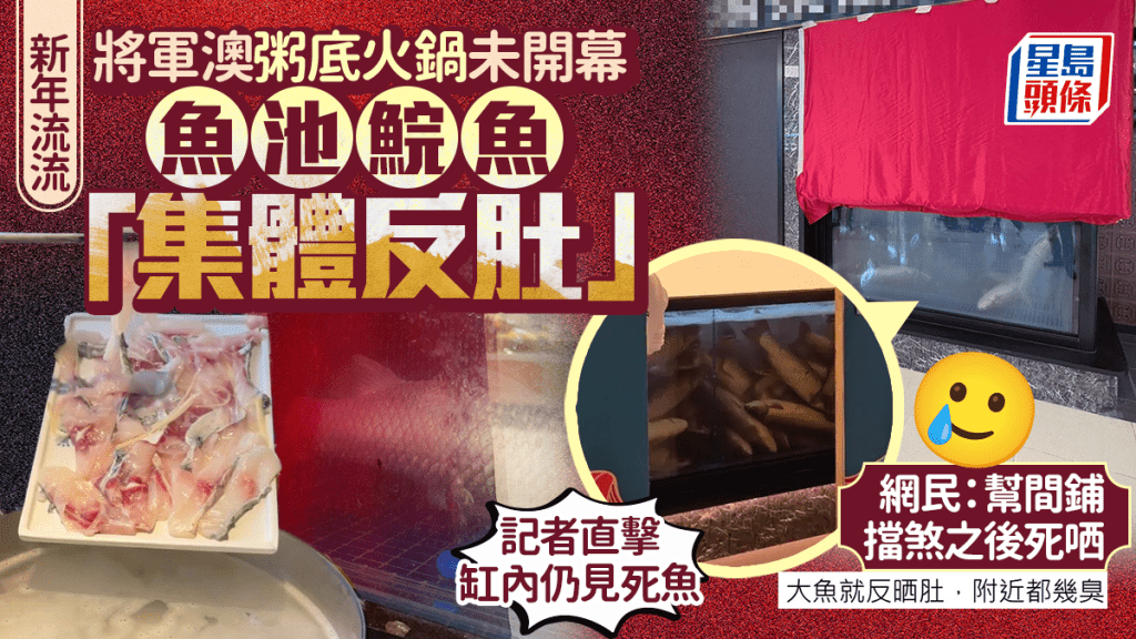 魚缸鯇魚「集體反肚」層層疉！將軍澳粥底火鍋店未開張先出事 網民：幫間鋪擋煞