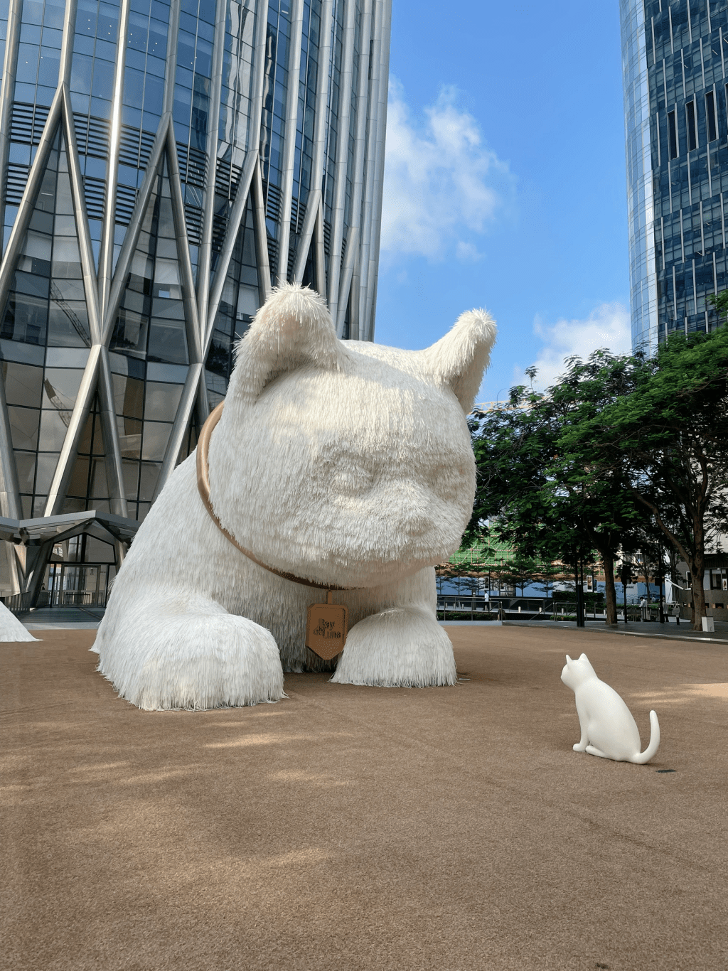 大猫与小猫好可爱！（图片来源：小红书）