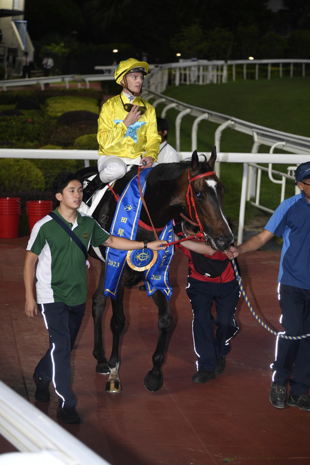 潘頓已夥拍「金鑽貴人」贏得九場頭馬。 潘頓已夥拍「金鑽貴人」贏得九場頭馬。