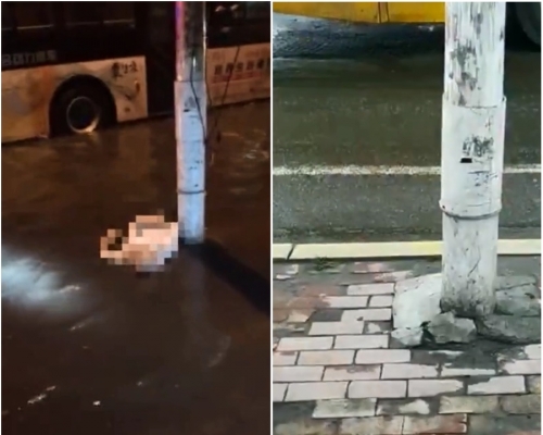 哈爾濱男子撞到電燈柱觸電身亡。網上圖片