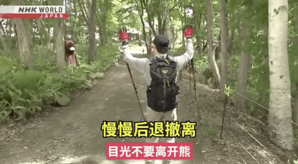 影片提醒,如遠距離發現熊,應立刻停步、保持冷靜,切勿奔跑或拍照挑釁。 影片提醒,如遠距離發現熊,應立刻停步、保持冷靜,切勿奔跑或拍照挑釁。