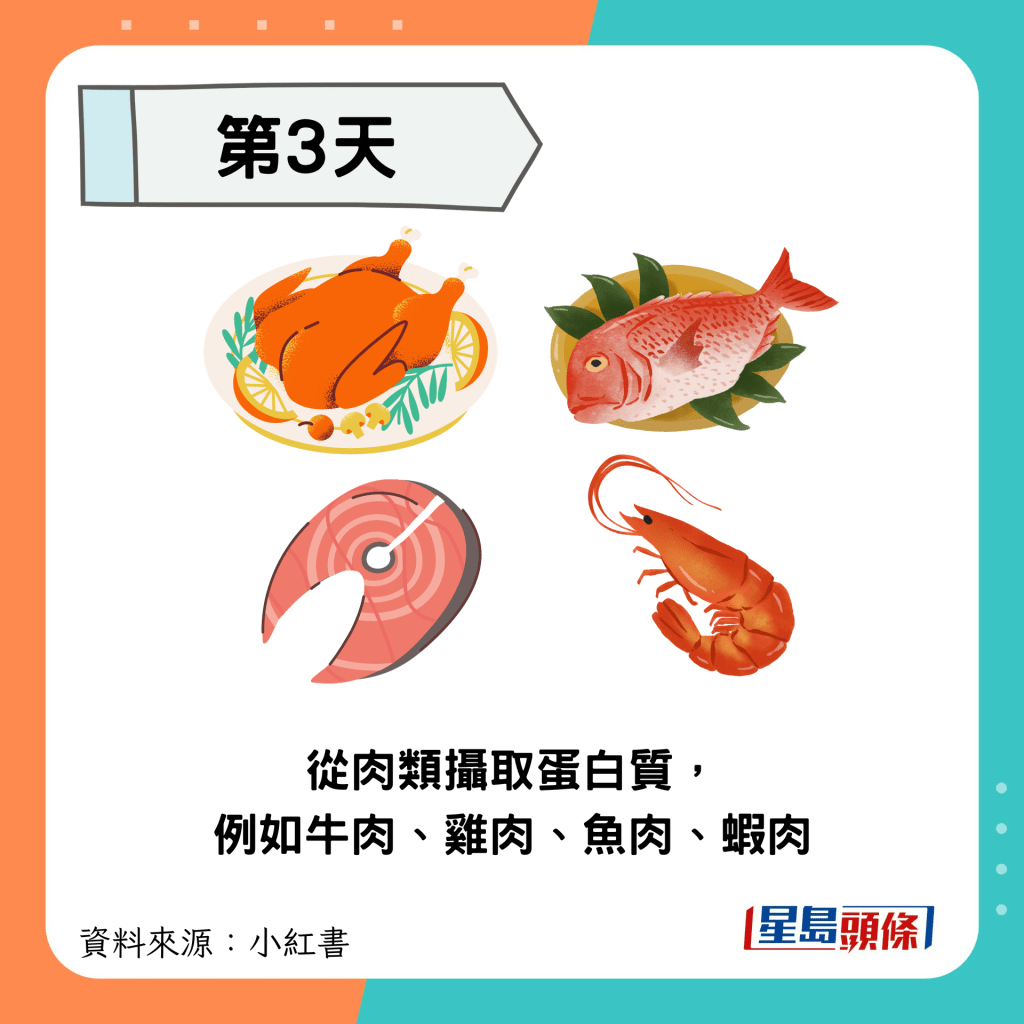 從肉類攝取蛋白質，例如牛肉、雞肉、魚肉、蝦肉