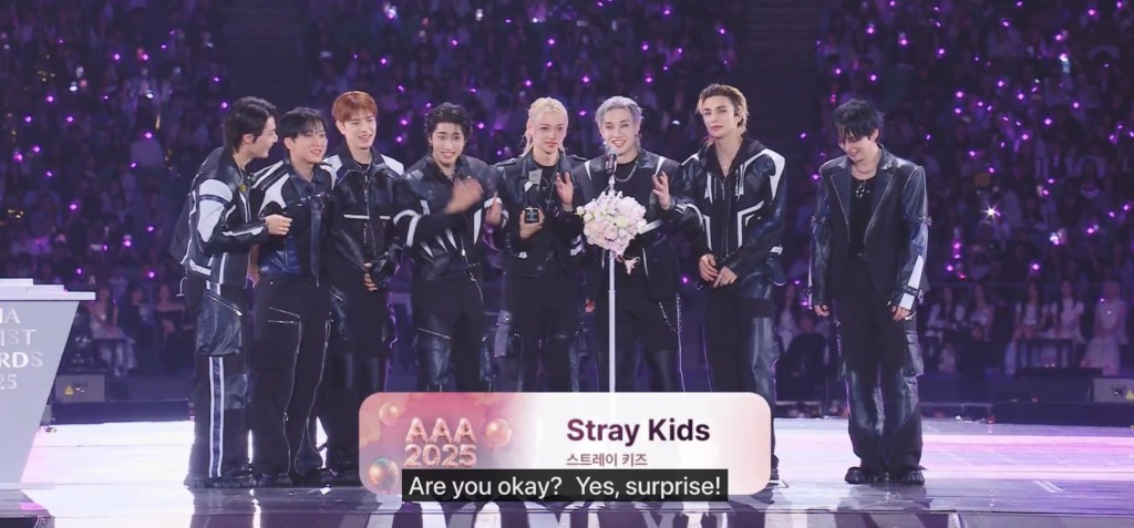 同樣攞獎攞到手軟的Stray Kids，則獲封年度歌手。（微博圖片）