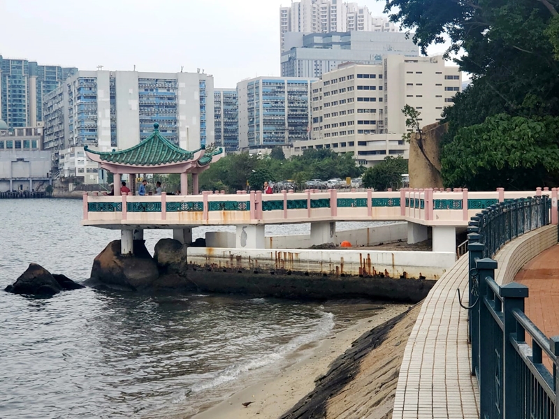 土瓜灣海心公園對開海面發現一具狗屍。