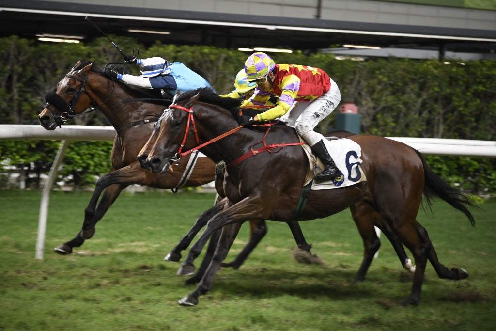 前馬王「威爾頓」馬主鄭強輝早前在谷草憑「浪漫老撾」贏馬。