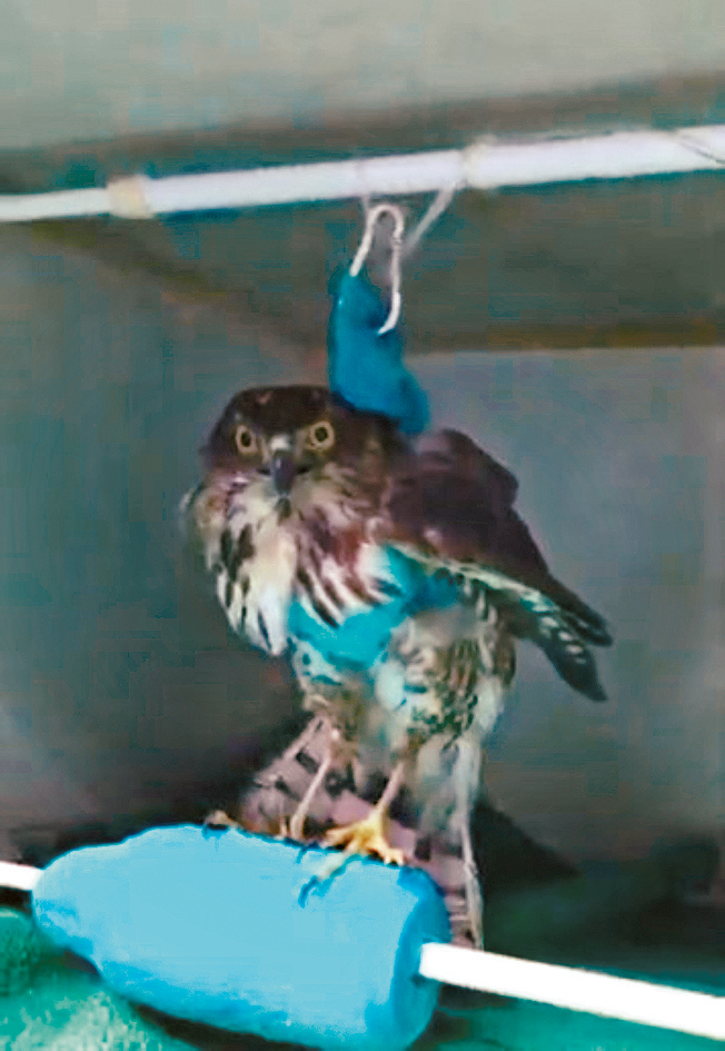 團隊使用毛巾、水樽及伸縮桿，自行改裝成復健工具。