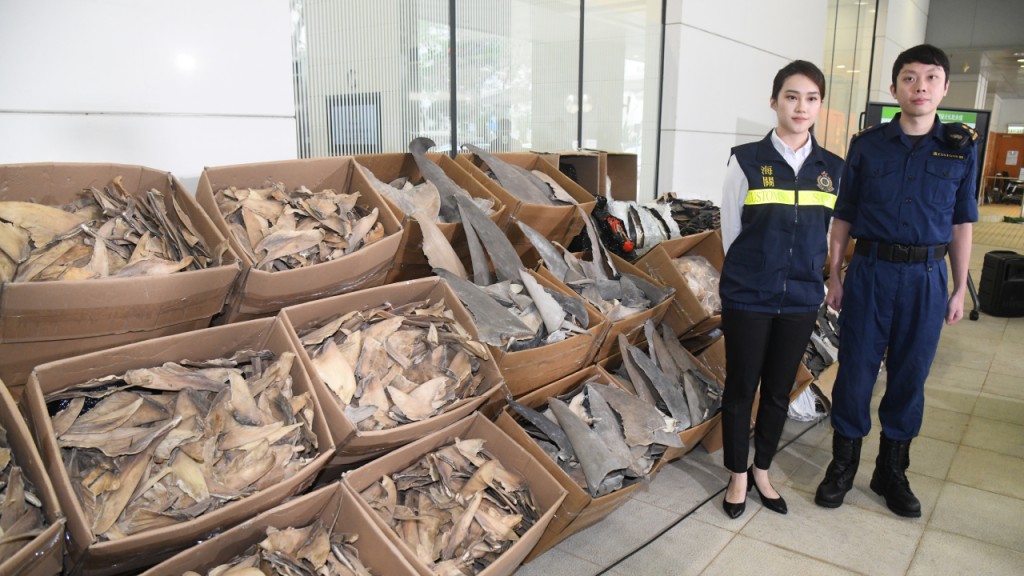 不法集團水路螞蟻搬家走私魚翅 海關霧夜裏截內河船檢640萬元貨