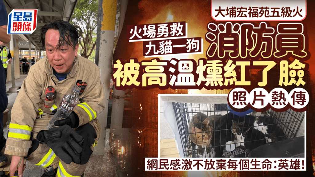 大埔宏福苑五級火︱火場勇救九貓一狗 消防員被高溫燻紅了臉照片熱傳 網民感激不放棄每個生命：英雄！｜Juicy叮
